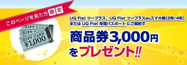 WiMAX契約で商品券3,000円プレゼント