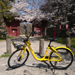 シェアバイク「ofo」が国内スタート、乗り方・返し方、ポートや料金プラン紹介