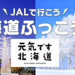 【北海道ふっこう割】JALの北海道ツアーが最大20,000円割引、10月22日（月）14時発売