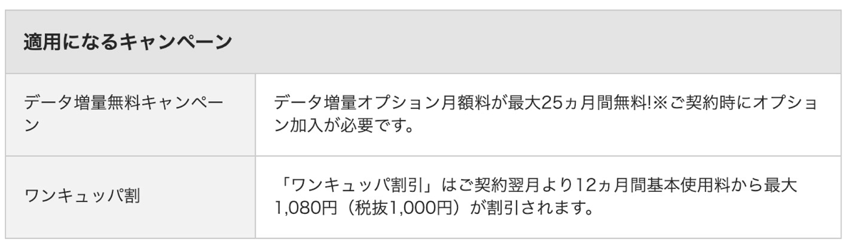 分割支払時に適用されるキャンペーン