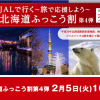 【北海道ふっこう割】JALのツアーが最大20,000円割引・対象期間は3月末まで