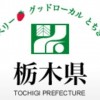 栃木県「ふっこう割」12月26日予約開始。宿泊期間は1月10日〜3月7日