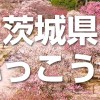 【茨城県ふっこう割】12月23日（月）からクーポン配布、宿泊期間は2020年3月15日まで