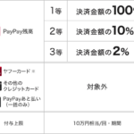 【PayPay】PayPayモールとYahoo!ショッピングで1等100%還元（〜2月28日）