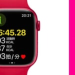 楽天モバイル、Apple Watch購入+電話番号シェアサービス加入で10,000ポイント還元