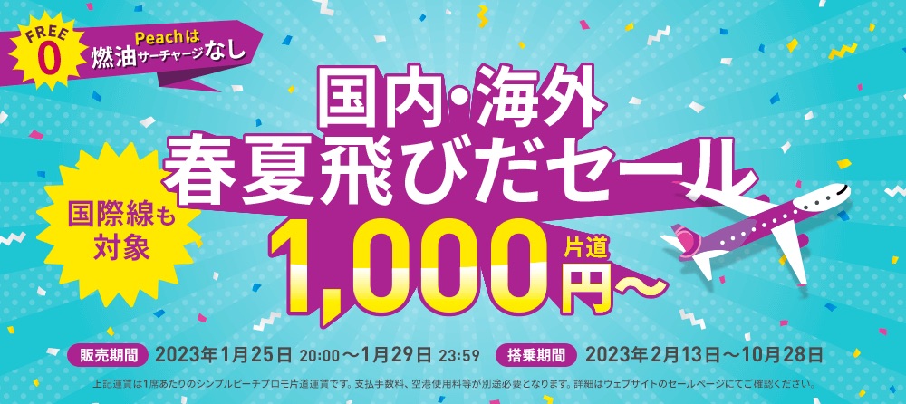 12/11ピーチ 札幌→沖縄 片道1名