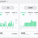 ランニング未経験から1年間で累計2,000kmを走った話