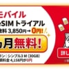 【Y!mobile】3カ月無料SIMの新規申込は3月末まで